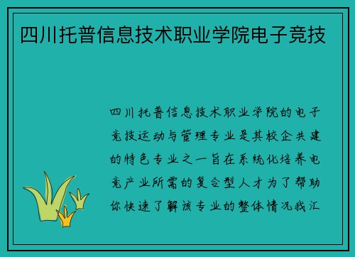 四川托普信息技术职业学院电子竞技